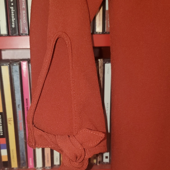 Reitmens pumpkin spice dress - Picture 5 of 7